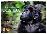 Produktbild: UGANDA - Berggorillas & Chimps (Wandkalender 2026 DIN A3 quer), CALVENDO Monatskalender