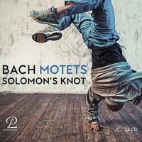Bild vom Artikel Motetten vom Autor Solomons Knot