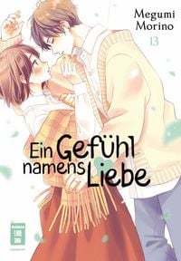Produktbild: Ein Gef&uuml;hl namens Liebe 13