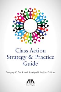 Produktbild: Class Action Strategy & Practice Guide