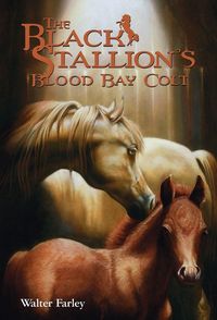 Produktbild: The Black Stallion's Blood Bay Colt