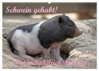 Produktbild: Schwein gehabt! (Wandkalender 2027 DIN A2 quer), CALVENDO Monatskalender