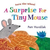 Produktbild: A Surprise for Tiny Mouse