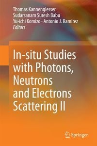 Produktbild: In-situ Studies with Photons, Neutrons and Electrons Scattering II