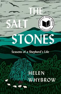 Produktbild: The Salt Stones