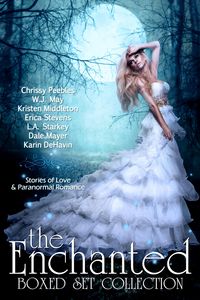 Produktbild: The Enchanted Box Set Collection: Stories of Love & Paranormal Romance