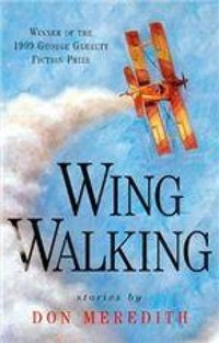 Produktbild: Wing Walking
