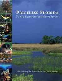 Produktbild: Whitney, E: Priceless Florida