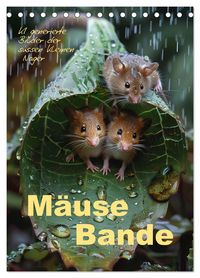 Produktbild: M&auml;usebande (Tischkalender 2026 DIN A5 hoch), CALVENDO Monatskalender