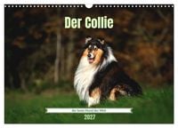 Produktbild: Der Collie der beste Hund der Welt (Wandkalender 2027 DIN A3 quer), CALVENDO Monatskalender