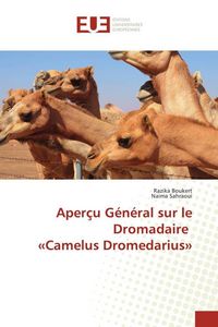 Produktbild: Aper&ccedil;u G&eacute;n&eacute;ral sur le Dromadaire 'Camelus Dromedarius'