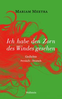 Produktbild: Ich habe den Zorn des Windes gesehen