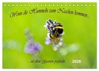 Produktbild: Wenn die Hummeln zum naschen kommen, ist dein Garten perfekt (Tischkalender 2026 DIN A5 quer), CALVENDO Monatskalender