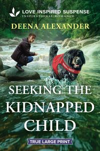 Produktbild: Seeking the Kidnapped Child