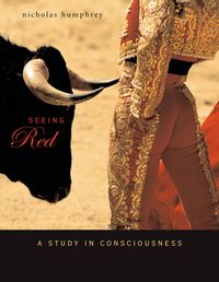Produktbild: Seeing Red