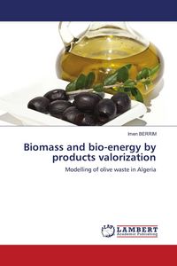 Produktbild: Biomass and bio-energy by products valorization