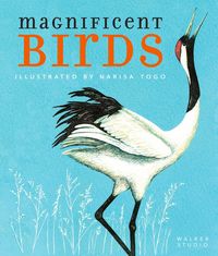 Produktbild: Magnificent Birds