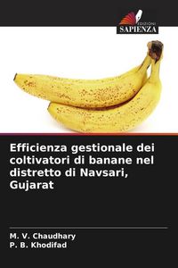 Produktbild: Efficienza gestionale dei coltivatori di banane nel distretto di Navsari, Gujarat