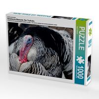 Produktbild: CALVENDO Puzzle Ein Motiv aus dem Kalender Emotionale Momente: Der Truthahn. | 1000 Teile Lege-Gr&ouml;&szlig;e 64x48cm Foto-Puzzle f&uuml;r gl&uuml;ckliche Stunden