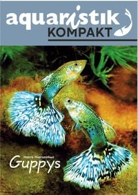 Produktbild: Guppys - aquaristik KOMPAKT