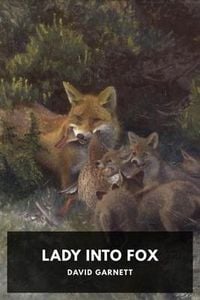 Produktbild: Lady Into Fox