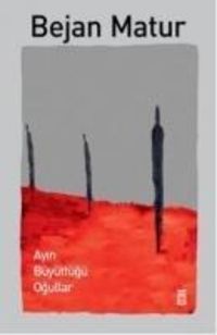 Produktbild: Ayin B&uuml;y&uuml;tt&uuml;g&uuml; Ogullar