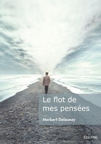 Produktbild: Le flot de mes pensees