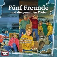 Produktbild: 3er-Box: F&uuml;nf Freunde und die gemeinen Diebe