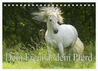Produktbild: Dein Freund, dein Pferd (Tischkalender 2027 DIN A5 quer), CALVENDO Monatskalender