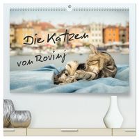 Produktbild: Die Katzen von Rovinj (hochwertiger Premium Wandkalender 2026 DIN A2 quer), Kunstdruck in Hochglanz
