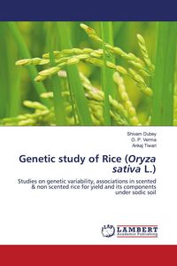 Produktbild: Genetic study of Rice (Oryza sativa L.)