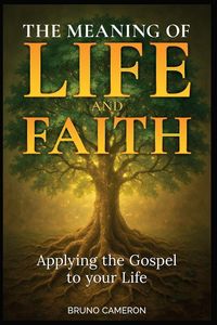 Produktbild: The Meaning of Life and Faith