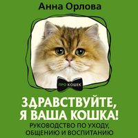 Produktbild: Zdravstvuyte, ya vasha koshka! Rukovodstvo po uhodu, obscheniyu i vospitaniyu