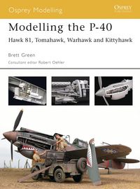 Produktbild: Modelling the P-40