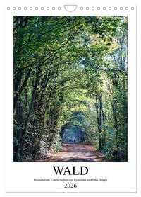 Produktbild: Wald - bezaubernde Landschaften (Wandkalender 2026 DIN A4 hoch), CALVENDO Monatskalender