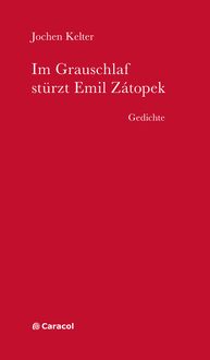 Produktbild: Im Grauschlaf st&uuml;rzt Emil Z&aacute;topek