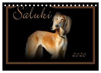 Produktbild: Saluki 2026 (Tischkalender 2026 DIN A5 quer), CALVENDO Monatskalender