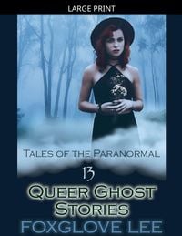 Produktbild: 13 Queer Ghost Stories