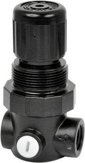Produktbild: Norgren IMI R91W-2GK-NEN Fl&uuml;ssigkeitsregler 1/4\"