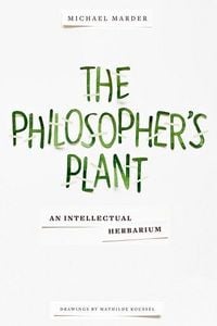 Produktbild: The Philosopher's Plant