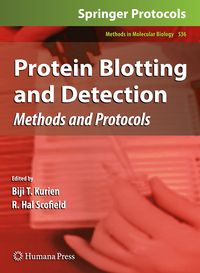 Produktbild: Protein Blotting and Detection