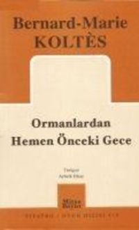 Produktbild: Ormanlardan Hemen &Ouml;nceki Gece