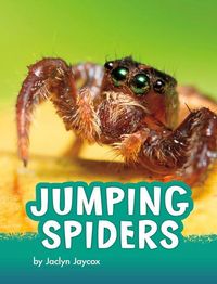 Produktbild: Jumping Spiders