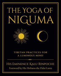 Produktbild: The Yoga of Niguma