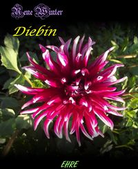 Produktbild: Diebin