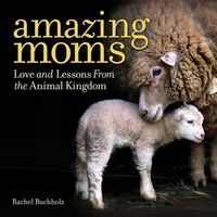 Produktbild: Amazing Moms