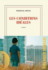 Produktbild: Amoudi, M: Conditions id&eacute;ales