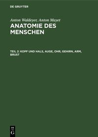 Produktbild: Kopf und Hals, Auge, Ohr, Gehirn, Arm, Brust