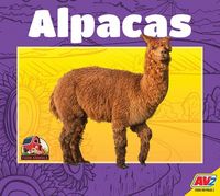 Produktbild: Alpacas