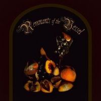 Produktbild: Remnants of the Vessel